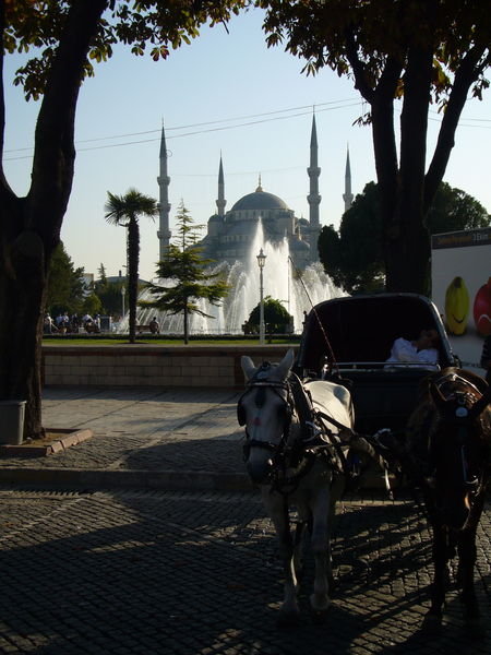 My favorite Blue Mosque picture