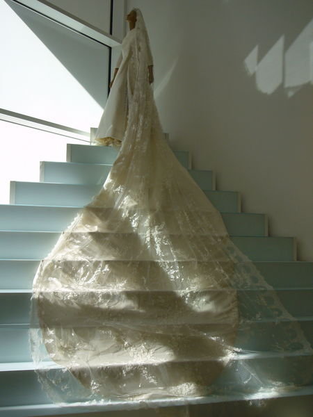Not my idea of a great wedding dress, but heck of a veil!