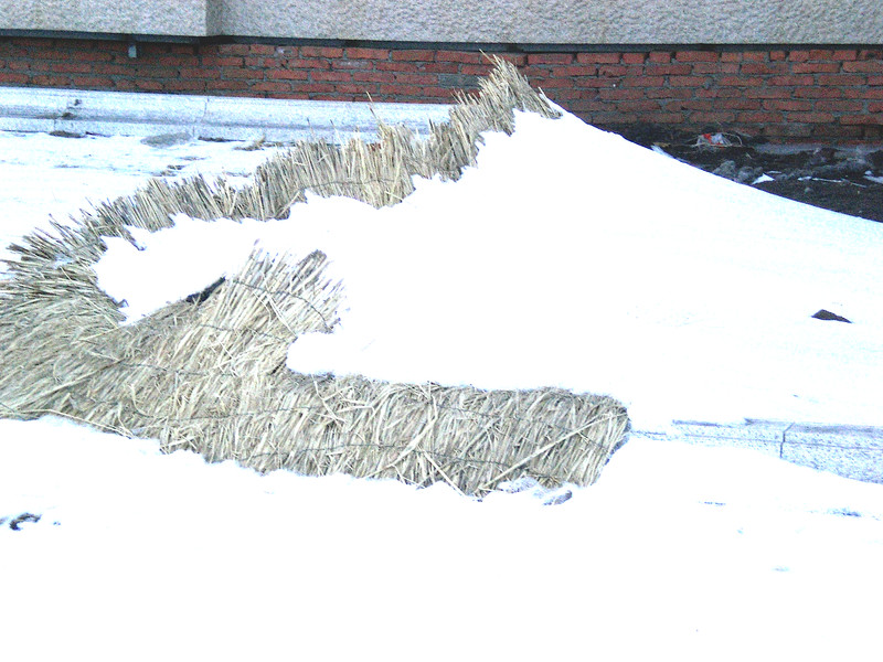 Straw mats in snow