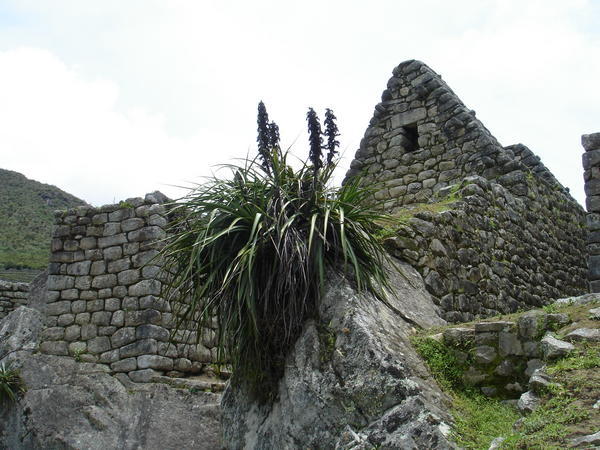 More ruins
