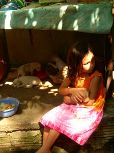Little girl with puppies