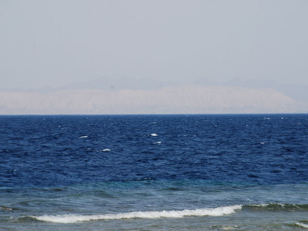Red Sea 1