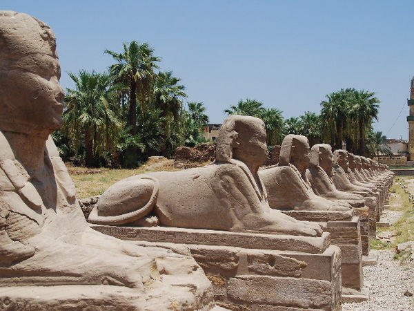 Luxor temple 2