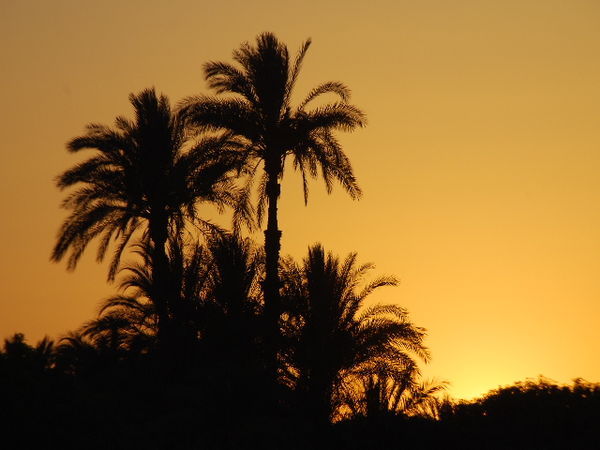 Sunset on Nile 1