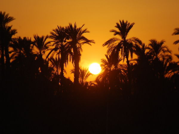 Sunset on Nile 2