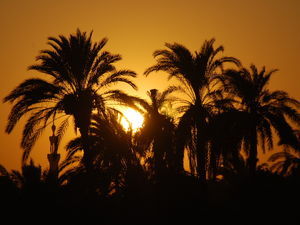 Sunset on Nile 4