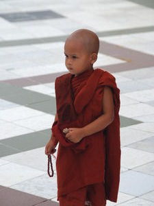 Little monk | Photo