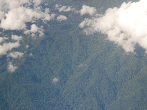 The Jungle of Borneo