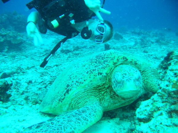 Me with a Turtle