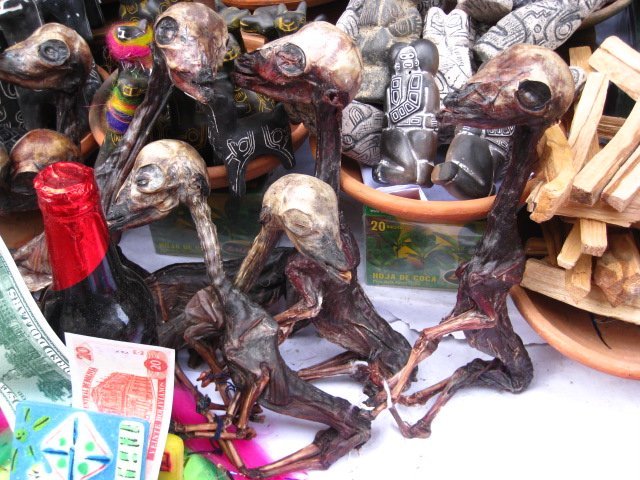 La Paz - Witches Market