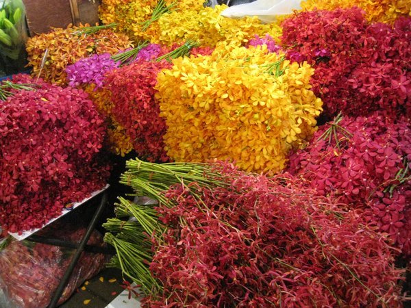 Flower Market - piles of orchids