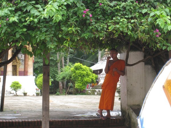 Monk just hanging out.