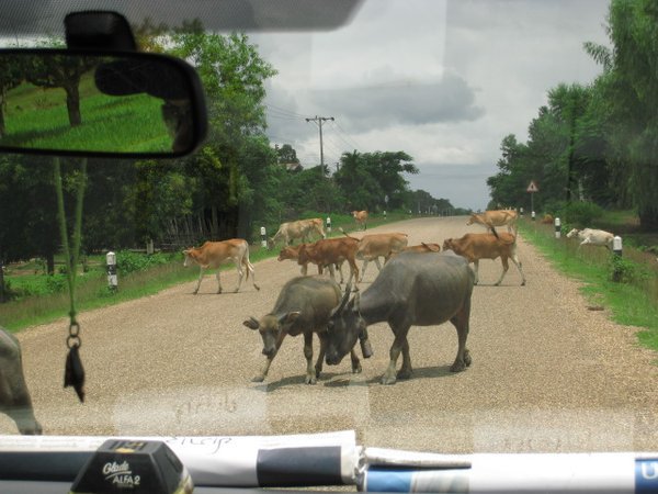 Gridlock in Southern Laos