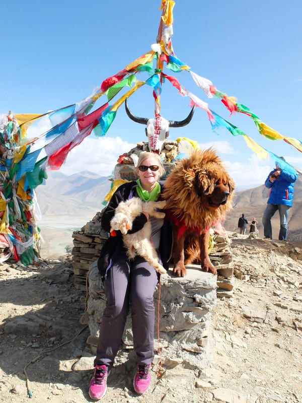 Baby goat and a baby Tibetan Mastiff