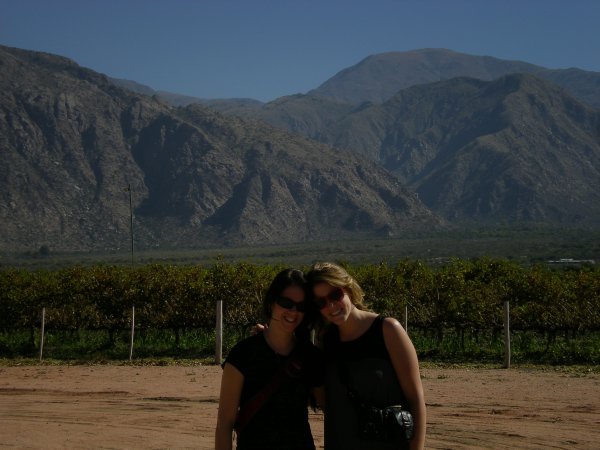 Vineyards and Mountains