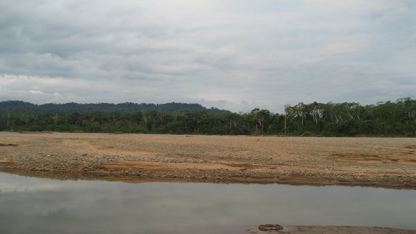 River and Jungle