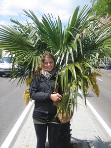 Gali and her Palm Trees