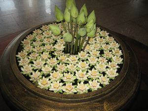 Borei Angkor Lotus Flower Display