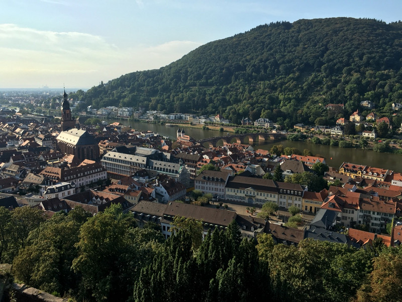 Heidelberg from the castle