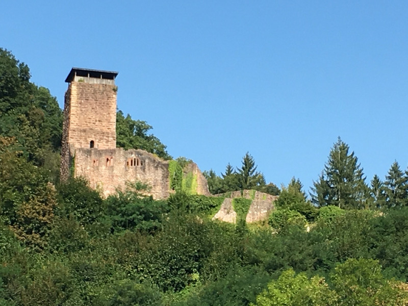Castle 2 - Neckarsteinach