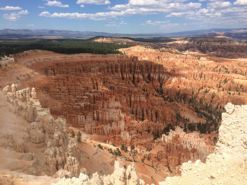 Bryce Canyon top view