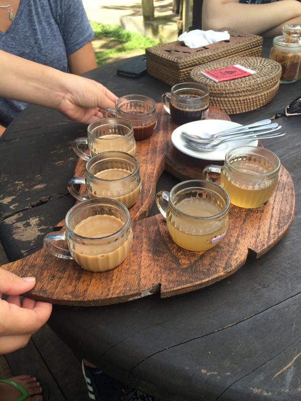 Coffee tasting at a plantation