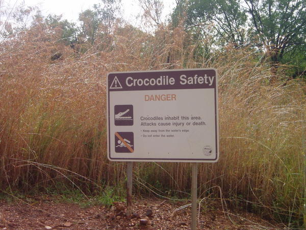 Crocodile warning