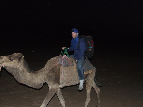 Camel riding after dark