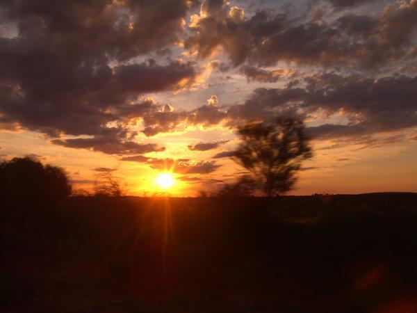 Sunset in the outback