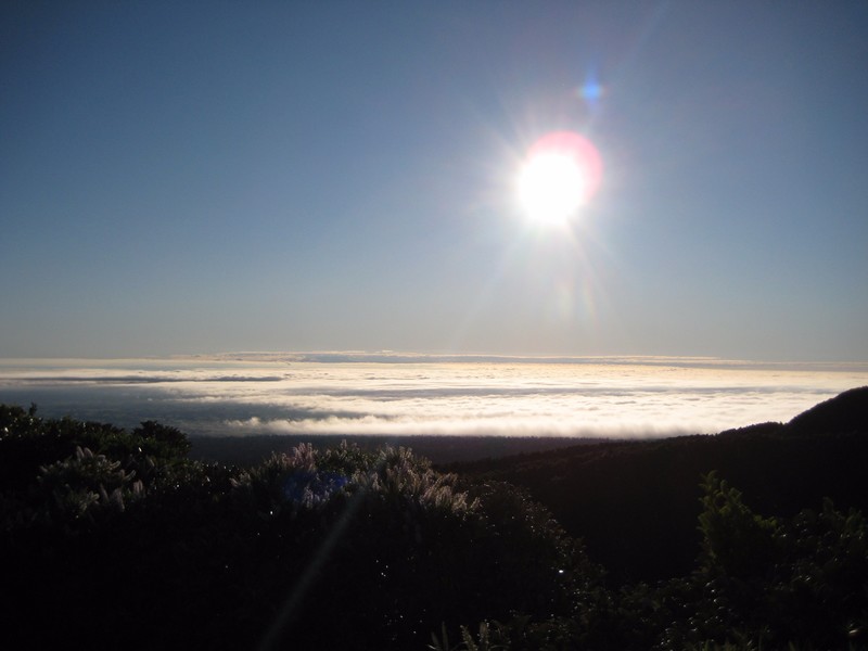 View from Taranaki