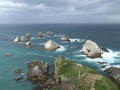 The view from Nugget point