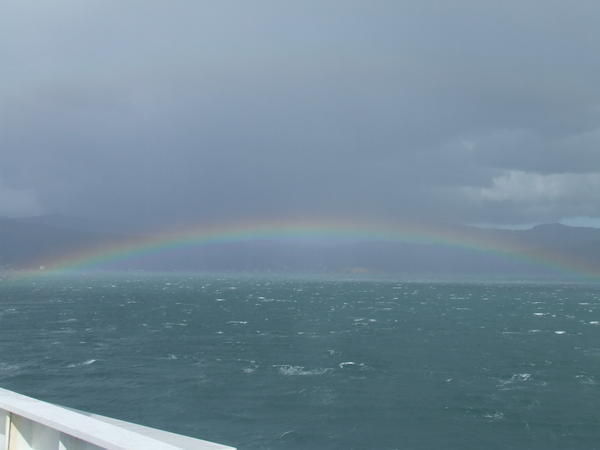 The rainbow at the gates of Wellington