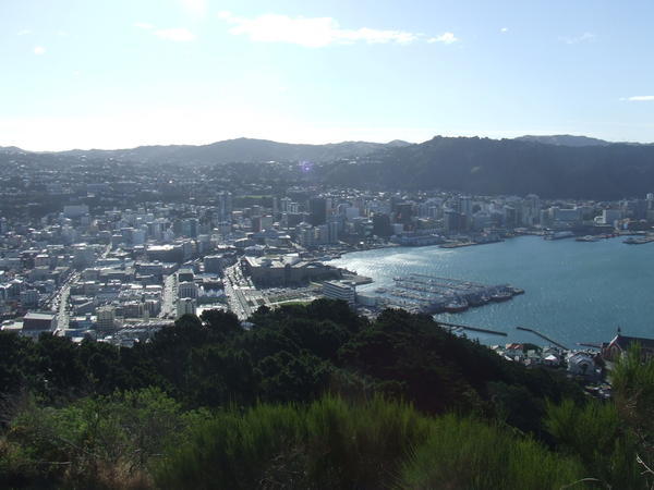 The city of Wellington