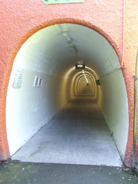 The elevator tunnel