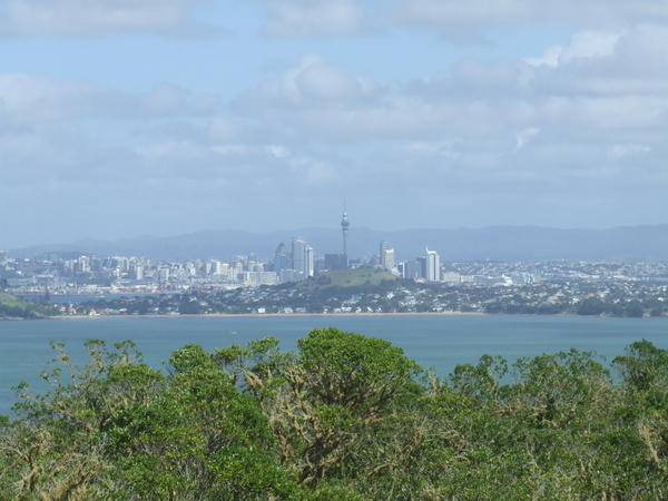 View from Rangitoto of Downtown Auckland