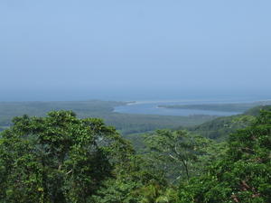 Mouth of the Daintree river