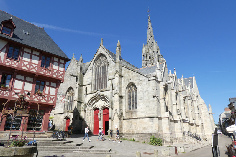 Basilique Notre Dame du Roncier