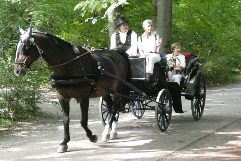 Carriage in the Englischen Garten 