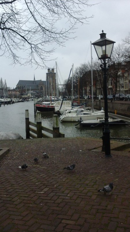 Typical canal view, towards the Grote Kerk tower