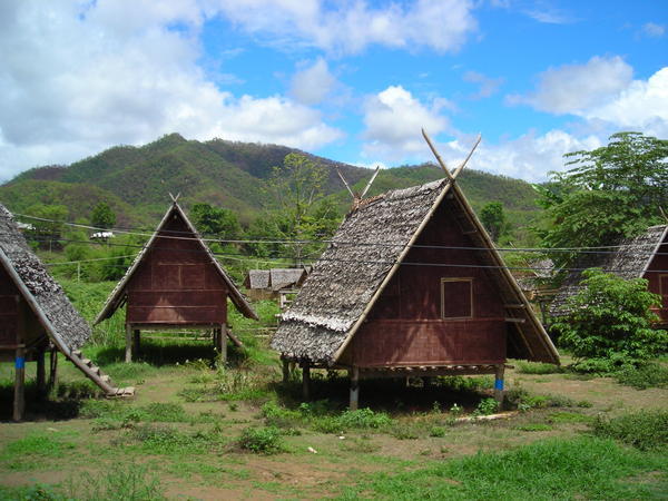 BAMbo huts