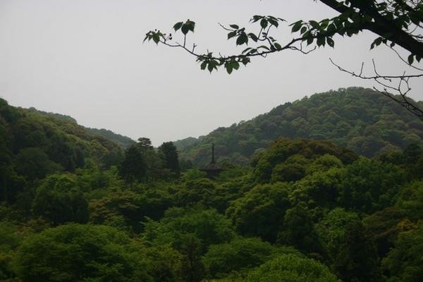 View from the Kiyomizu veranda