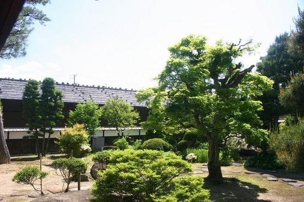 The Shogun's garden