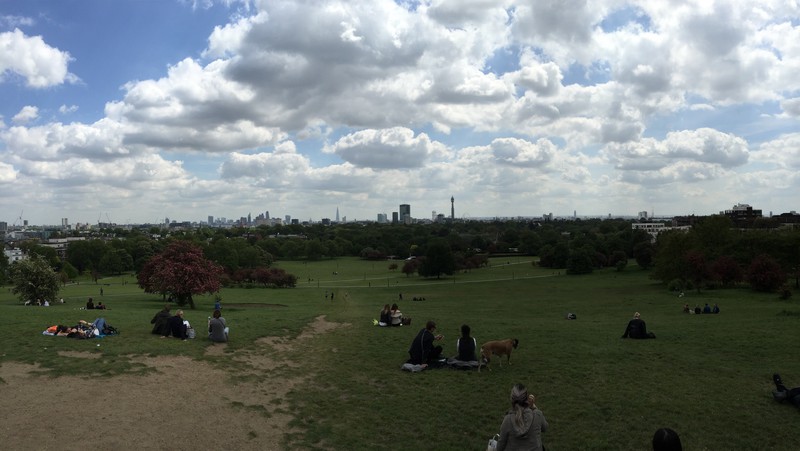 London skyline from primrose hill