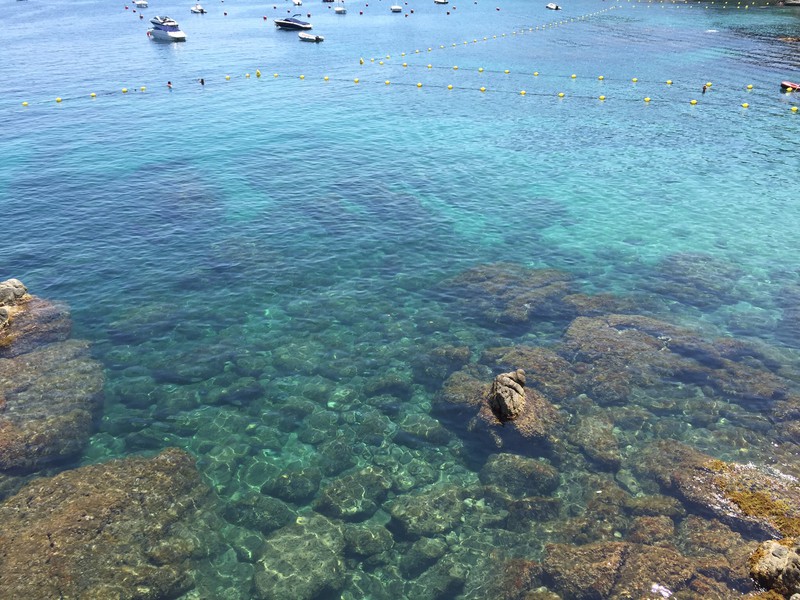 Clear water at Costa Brava