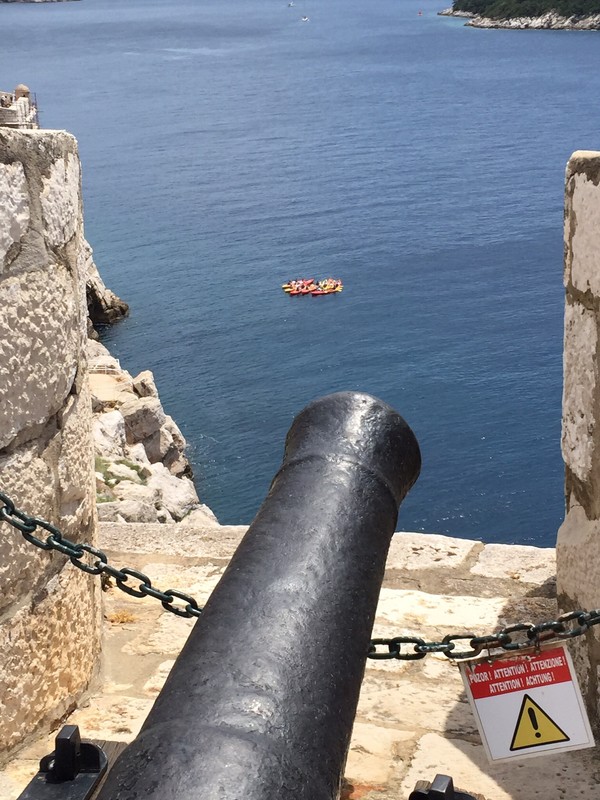 Cannons with a view