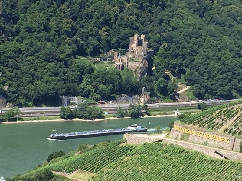 Vineyard, castle and boat