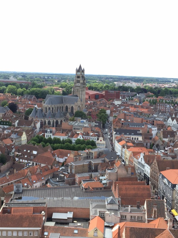 The Bruges skyline