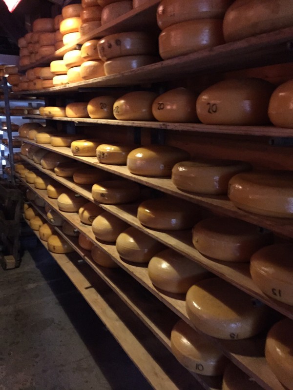 Cheese at the farm