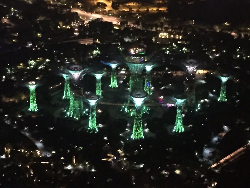 Super tree grove from the top of Marina Bay Skydeck