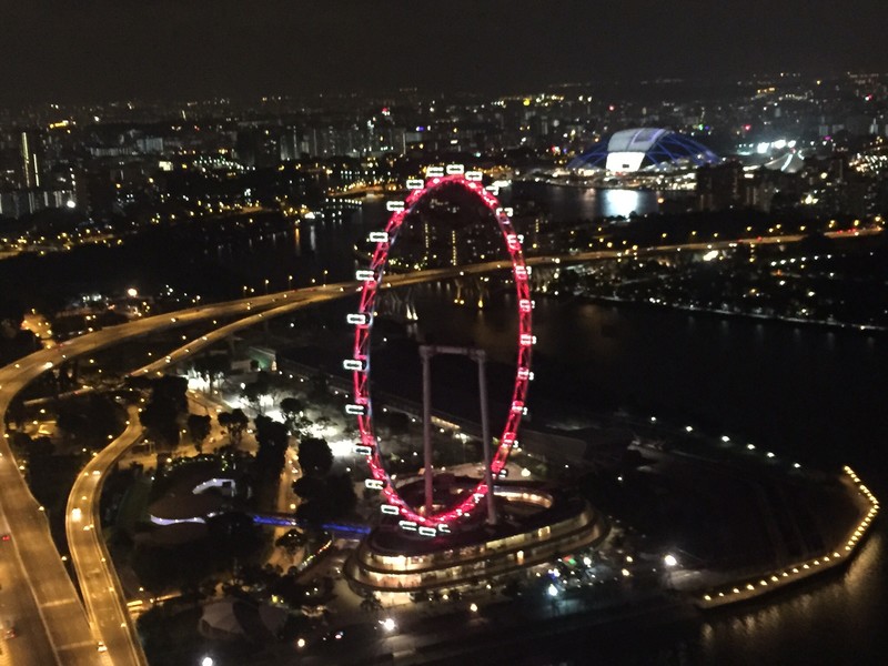 Singapore flyer from the top
